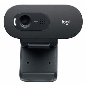 Logitech C505 HD Webcam